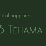 New Developments: 776 Tehama