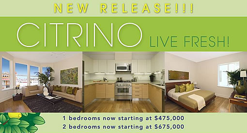 Citrino New Release.jpg