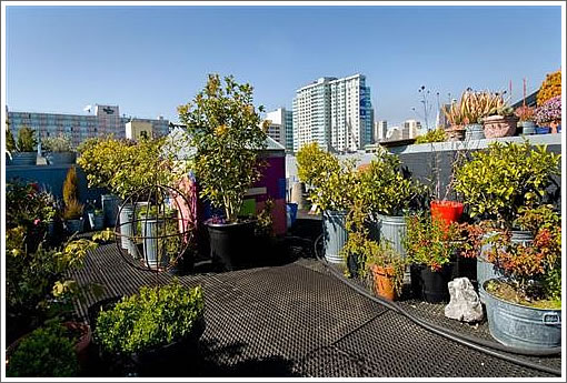 741 Natoma: Roof Deck