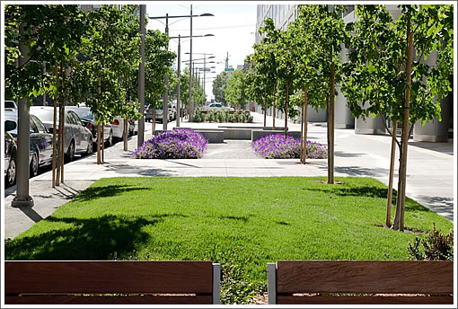 Rincon Hill Streetscape Plan In Action On Spear: New Mini-Park
