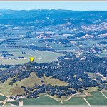 The Mondavi Estate Could Be Yours If Your Bid Is Right