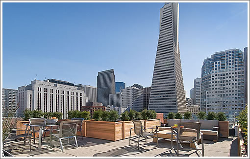 845 Montgomery PH1 Roof Deck