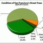 Speaking For The Trees In San Francisco: The Urban Forest Plan