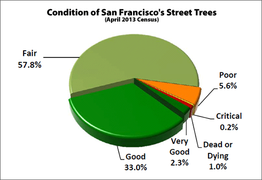 Speaking For The Trees In San Francisco: The Urban Forest Plan