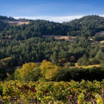 $100M Calistoga Hills Property Sold To Asia Pacific Buyer