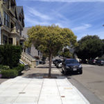 Take these Trees and Trim 'Em!  (And the Price You'll Pay)