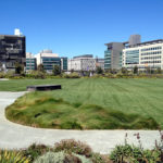 New Mission Bay Park Now Open for Picnicking and Play