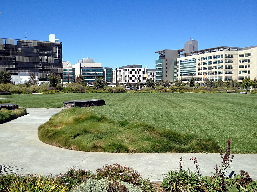 New Mission Bay Park Now Open for Picnicking and Play