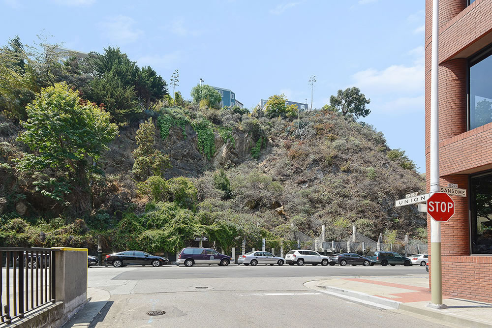 Telegraph Hill Lot on the Market for Only $150K!